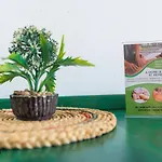 Vibes Center Irent Fuerteventura Apartman Corralejo